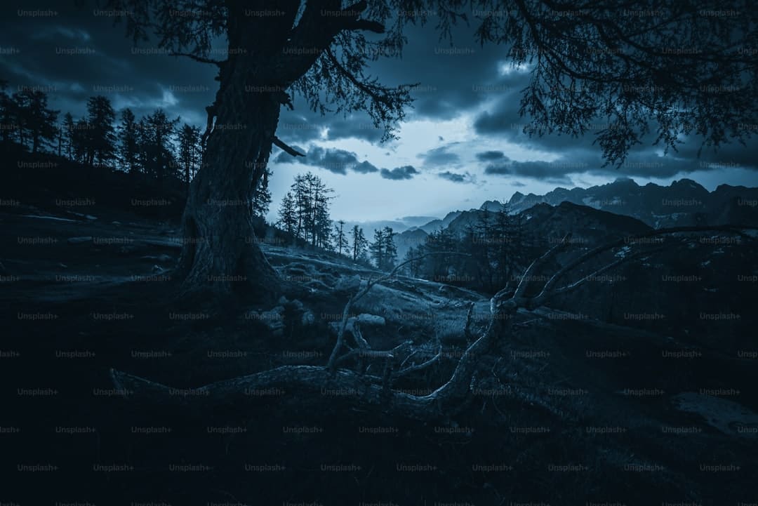 江西铅山:永平西门看今昔